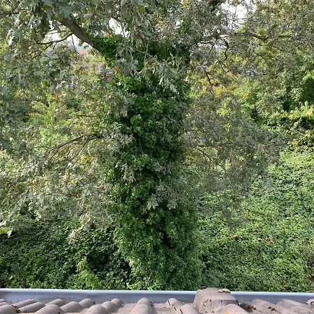 Kleines Apartment In Moenchengladbach-Neuwerk Buitenkant foto