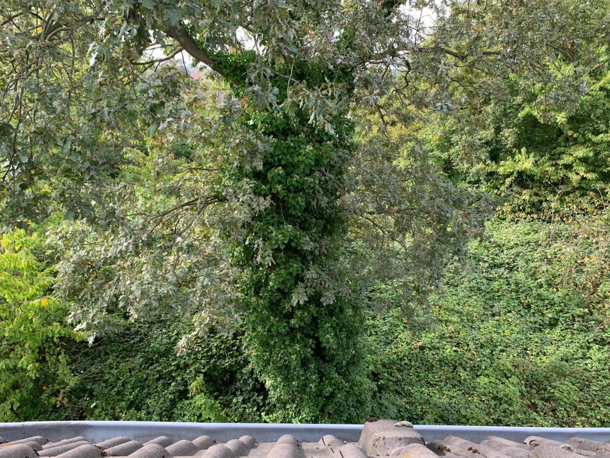 Kleines In Moenchengladbach-neuwerk Apartment